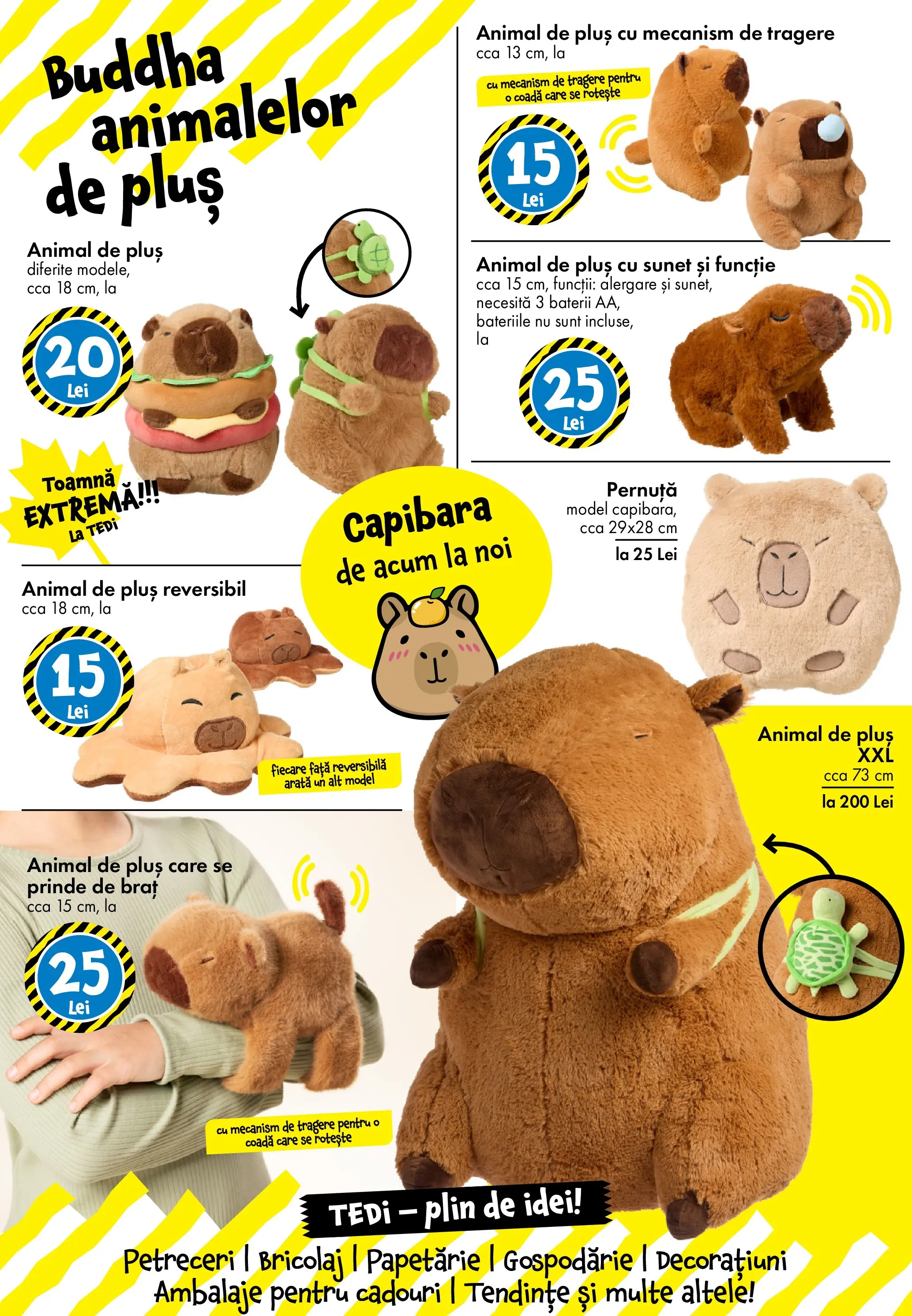 Catalog TEDi - Oferta 10.10.2025 - 19.10.2025 | Pagină: 4 | Produse: Baterii