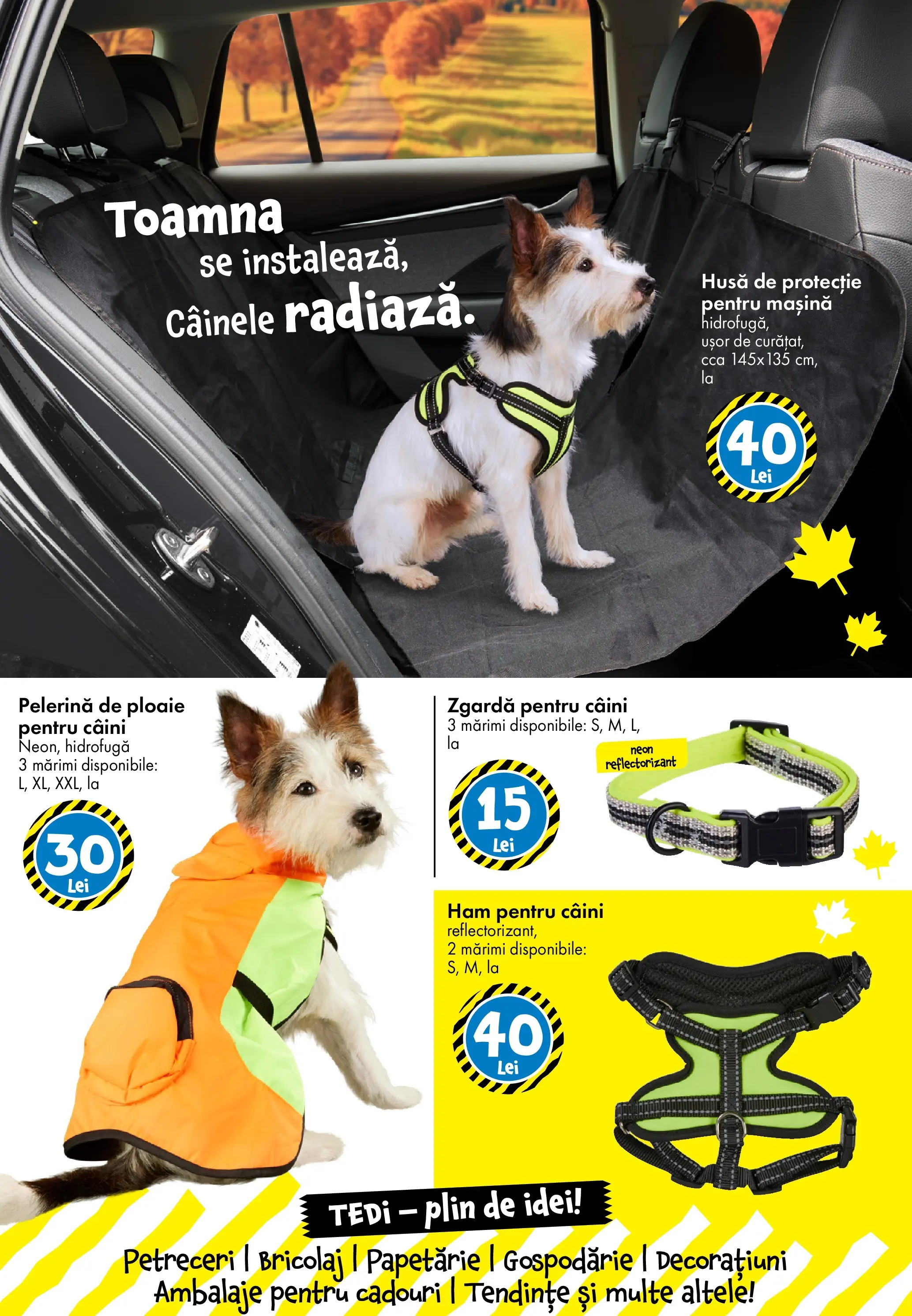 Catalog TEDi - Oferta 10.10.2025 - 19.10.2025 | Pagină: 25