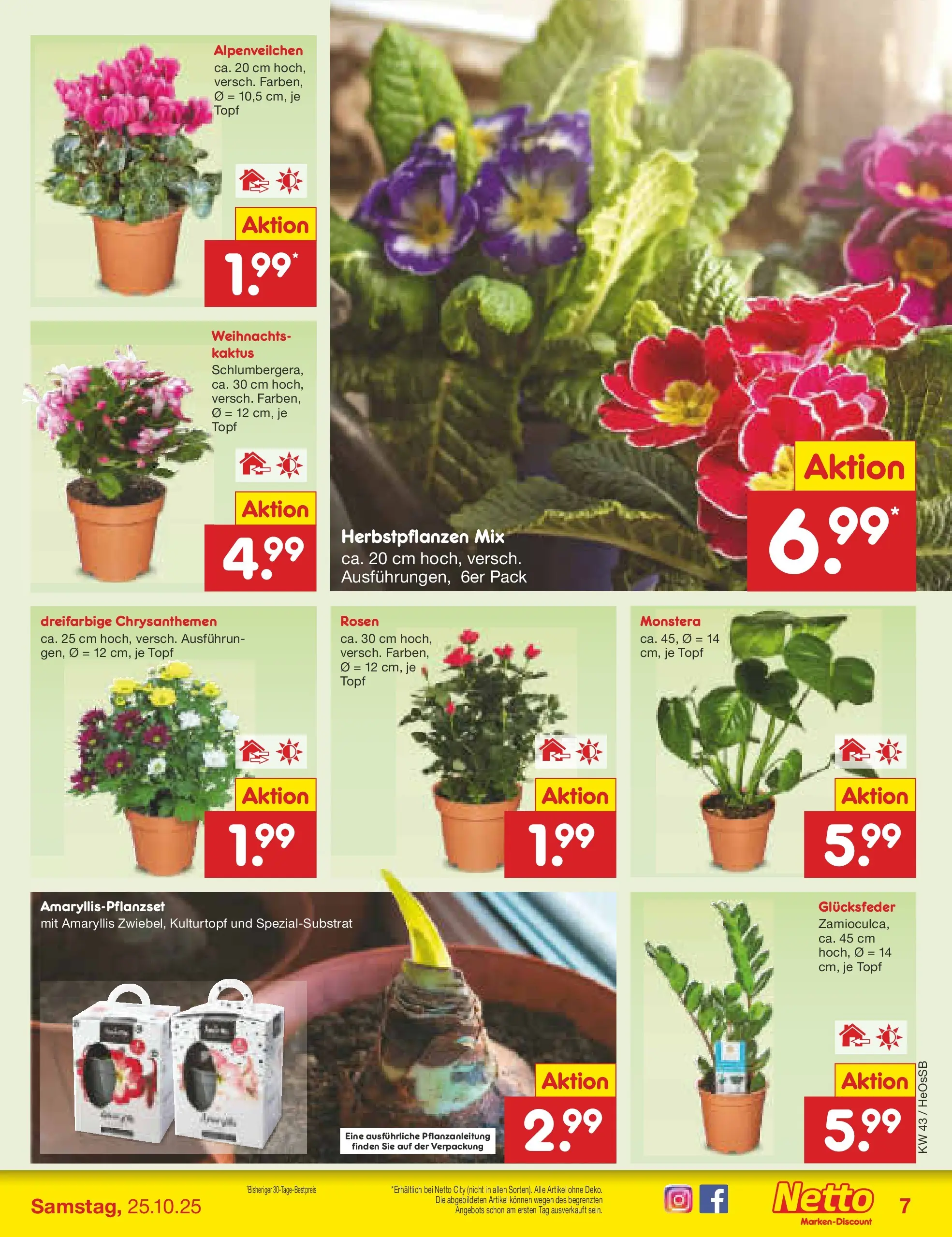 Netto Marken-Discount prospekt Kröpelin	 (ab 19.10.2025) » Angebote | Seite: 7