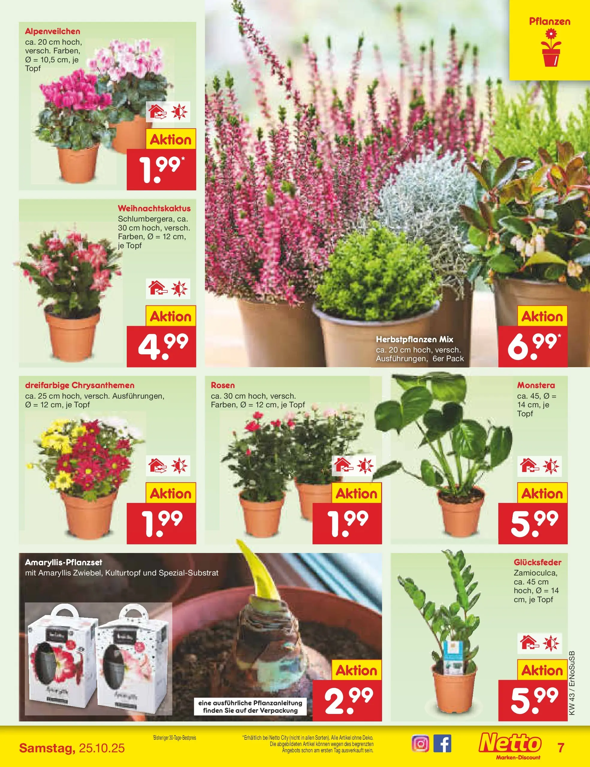 Netto Marken-Discount prospekt Erfurt (ab 20.10.2025) » Angebote | Seite: 9 Netto Marken-Discount prospekt Erfurt (ab 20.10.2025) » Angebote | Seite: 9