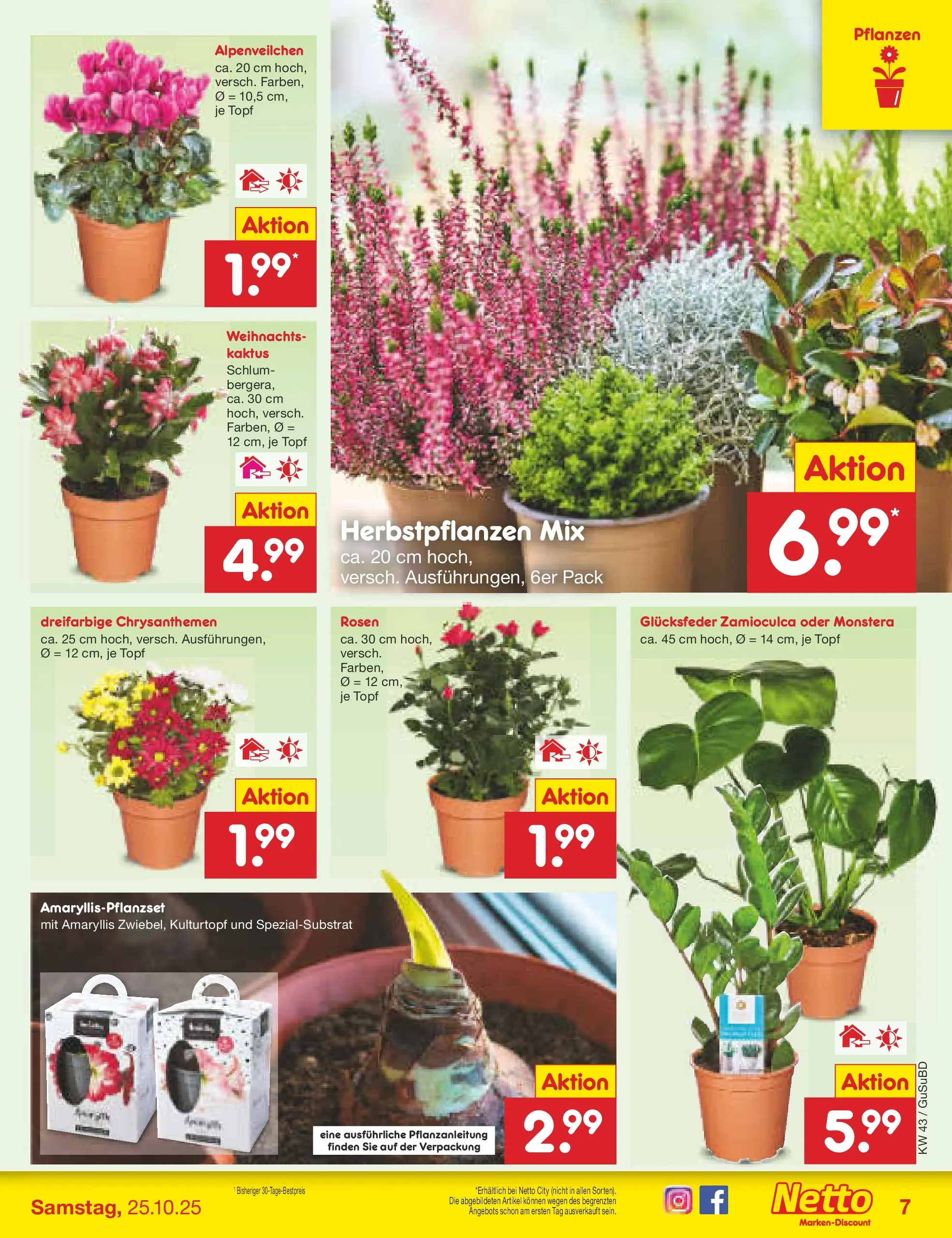 Netto Marken-Discount prospekt Glauchau (ab 19.10.2025) » Angebote | Seite: 9 Netto Marken-Discount prospekt Glauchau (ab 19.10.2025) » Angebote | Seite: 9
