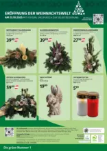 Bellaflora: Flugblatt