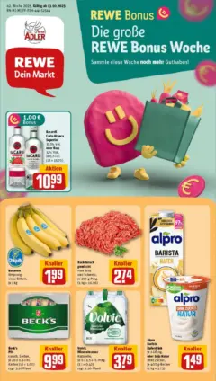 Rewe prospekt Merenberg	 ab 13.10.2025 gültig