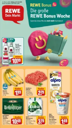 Rewe prospekt Weißenfels	 ab 13.10.2025 gültig