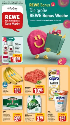 Rewe prospekt Oldenburg / Donnerschwee	 ab 13.10.2025 gültig