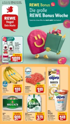 Rewe prospekt Zeitlarn	 ab 13.10.2025 gültig