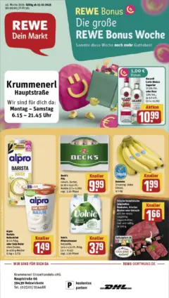 Rewe prospekt Holzwickede	 ab 13.10.2025 gültig