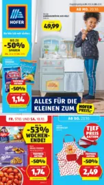 HOFER: Flugblatt