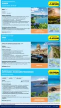 HOFER HOFER: Flugblatt - ab 17.10.2025