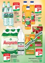 maly pdf dino 42 www 1
