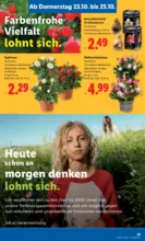 Lidl Lidl: Flugblatt in deiner Nähe - ab 23.10.2025