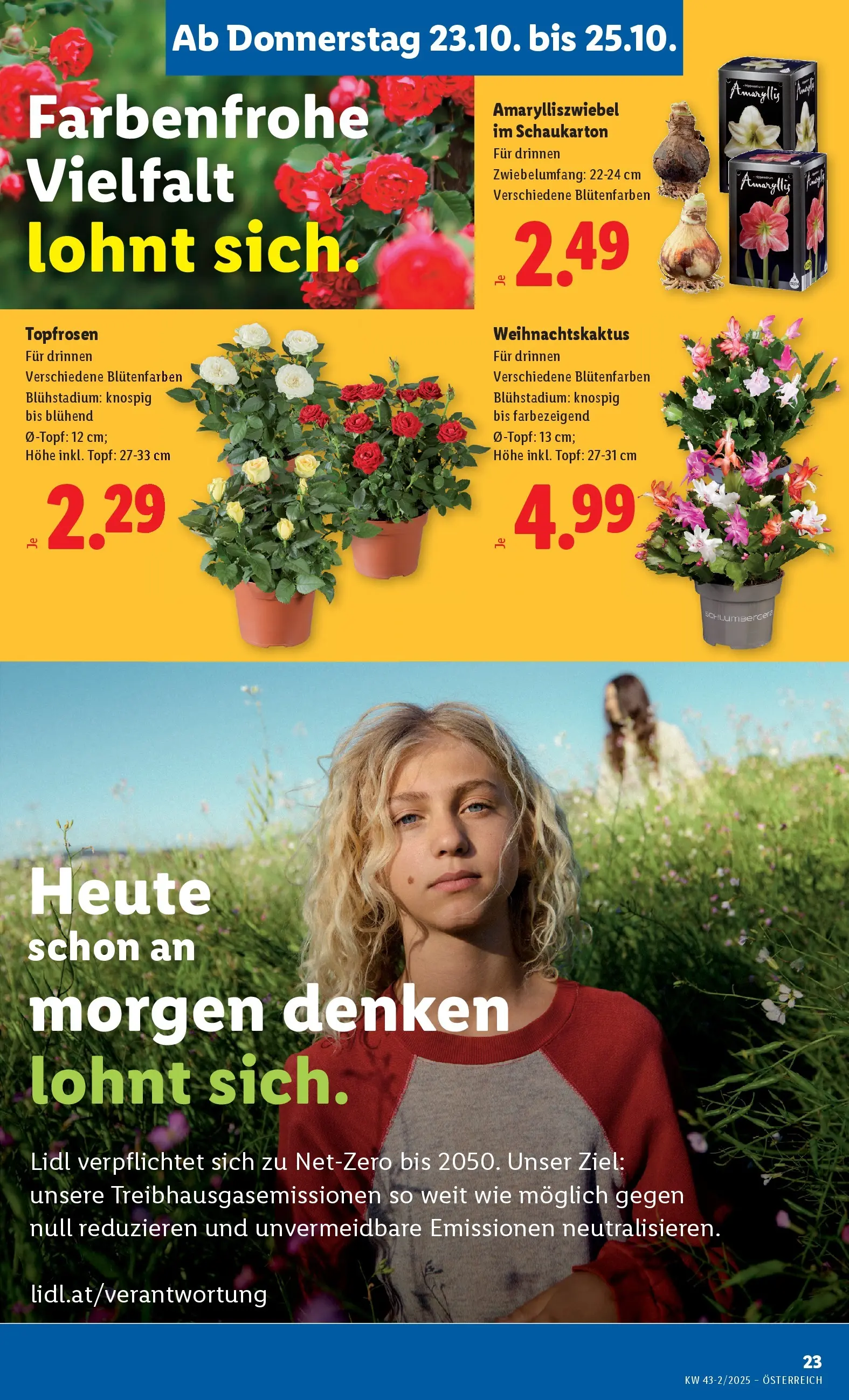Lidl Flugblatt - Wien, Langenzersdorf, Zwettl ab 23.10.2025 - Angebote ab donnerstag | Seite: 29