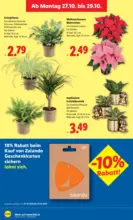 Lidl Lidl: Flugblatt in deiner Nähe - ab 23.10.2025