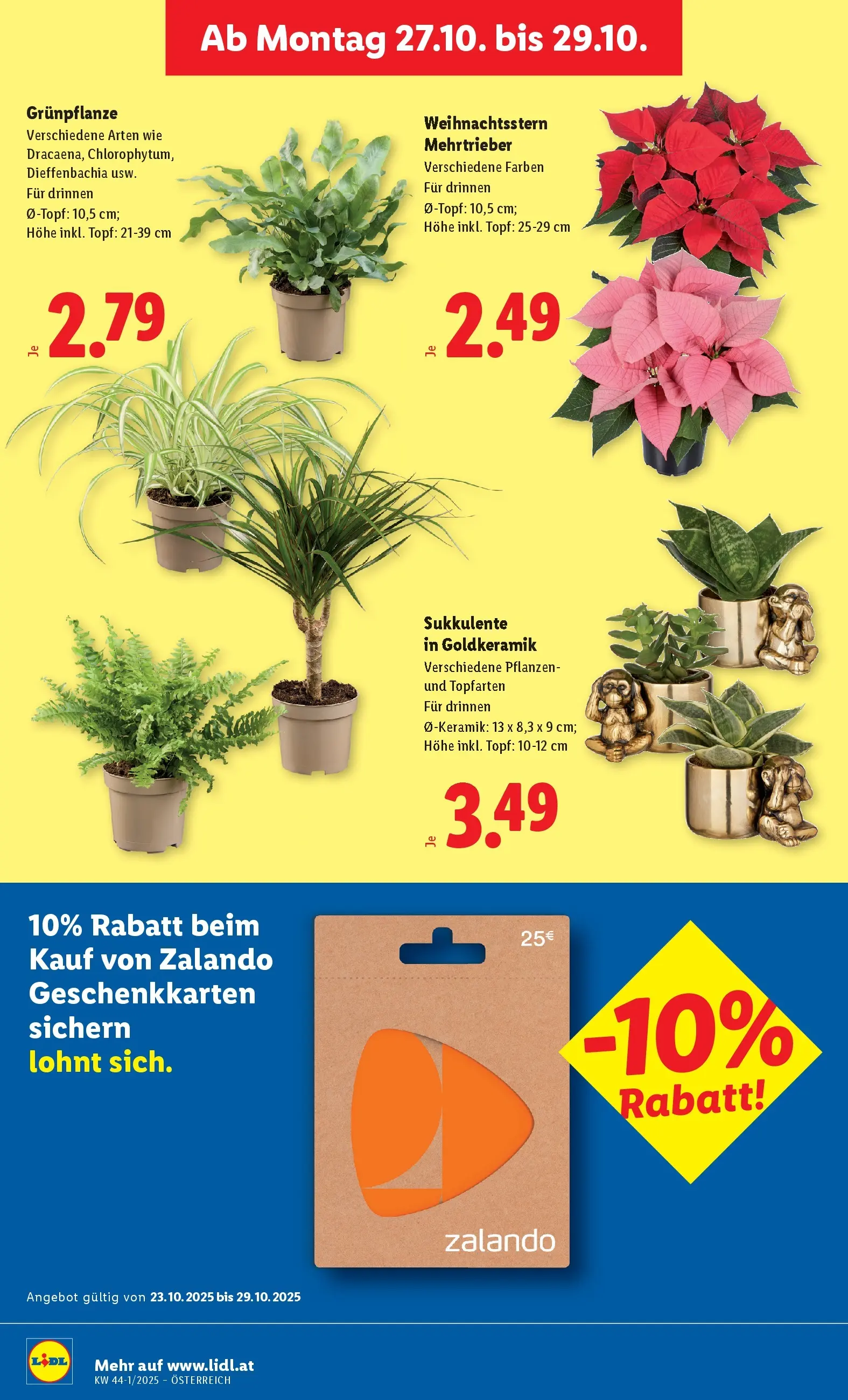 Lidl Flugblatt - Wien, Langenzersdorf, Zwettl ab 23.10.2025 - Angebote ab donnerstag | Seite: 30