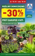Rośliny doniczkowe w ALDI Aldi – do 18.10.2025