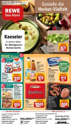 Rewe prospekt Dortmund	 ab 19.10.2025 gültig | Seite: 17 | Produkte: Maggi, Sonnenblumenol, Kürbis, Petersilie