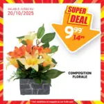Trafic Découvrez nos Superdeals de la semaine avec des prix imbattables ! - au 20.10.2025