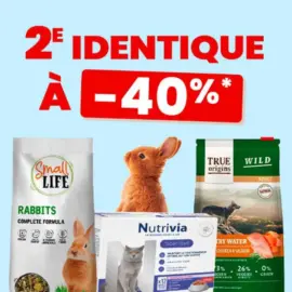 2ème à -40% identique