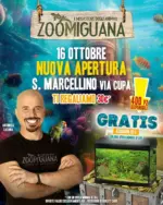 Zoomiguana Offerte per cacciatori di affari - al 16.10.2025