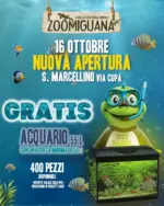 Zoomiguana Nuova apertura - al 16.10.2025