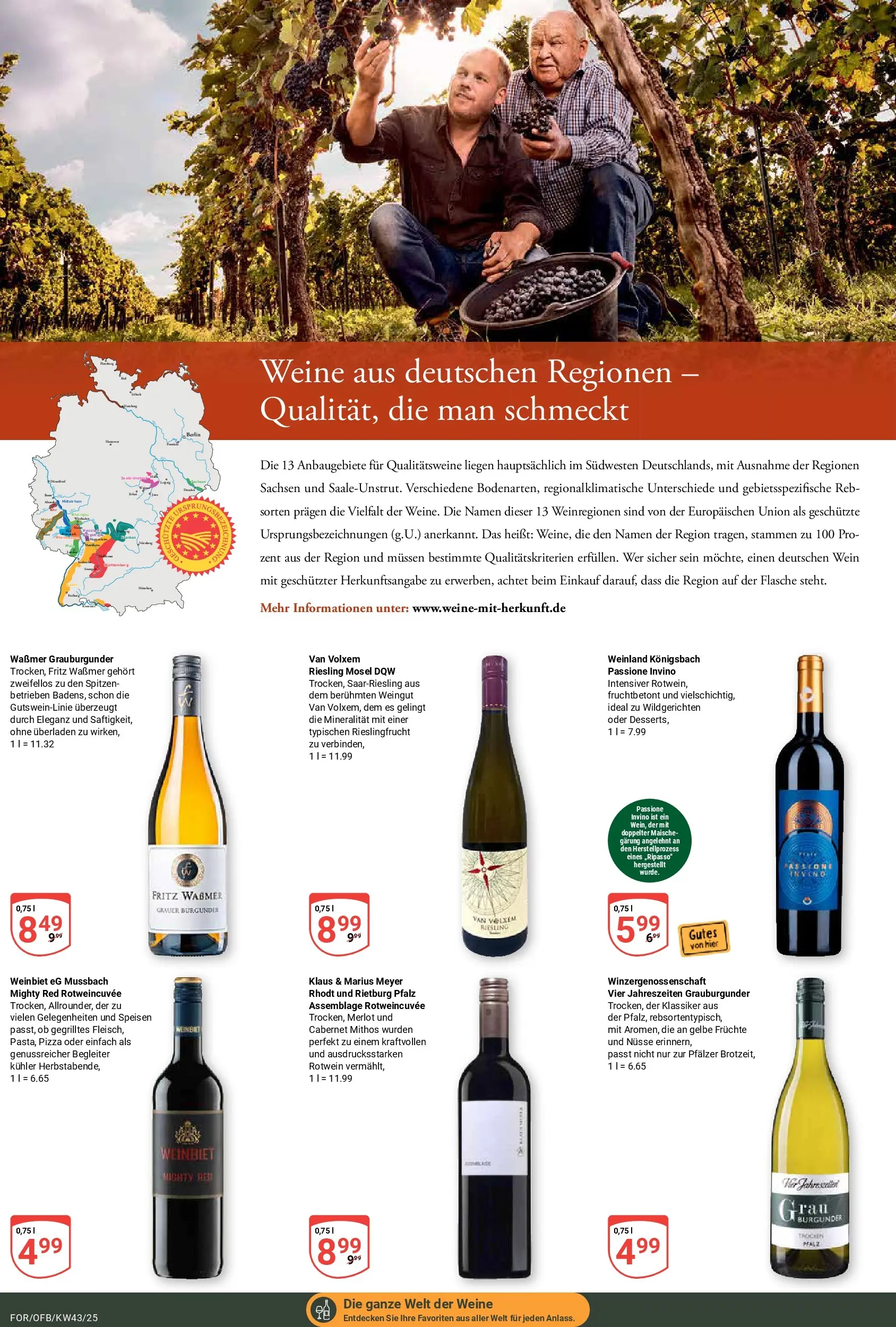 Globus prospekt Forchheim	 (ab 19.10.2025) » Angebote online | Seite: 20 | Produkte: Rotwein, Merlot, Pizza, Nüsse