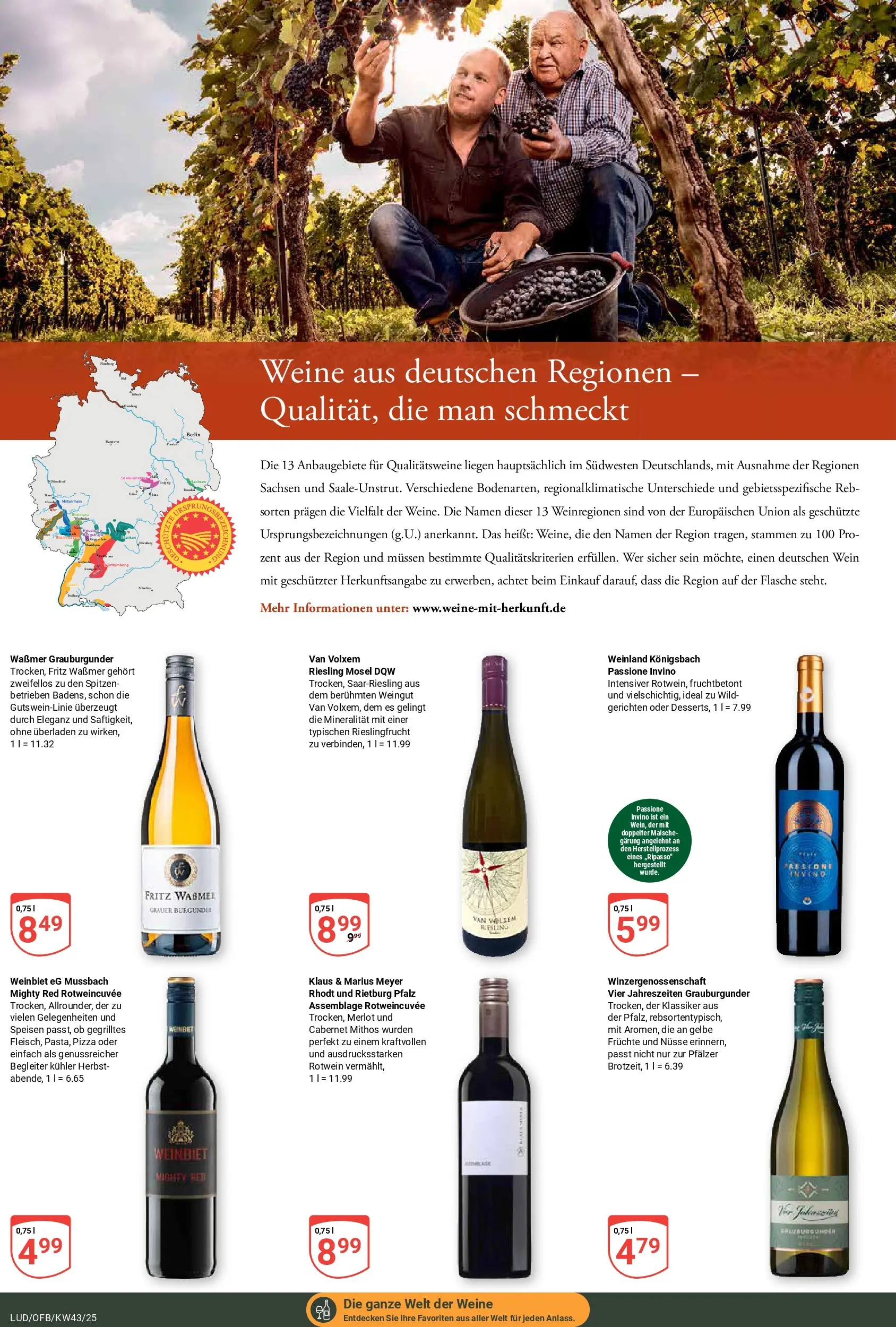 Globus prospekt Ludwigshafen-Oggersheim	 (ab 19.10.2025) » Angebote online | Seite: 21 | Produkte: Merlot, Pizza, Wein, Nüsse