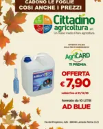 Cittadino Agricoltura Cadono le foglie cosi anche i prezzi - al 31.12.2025