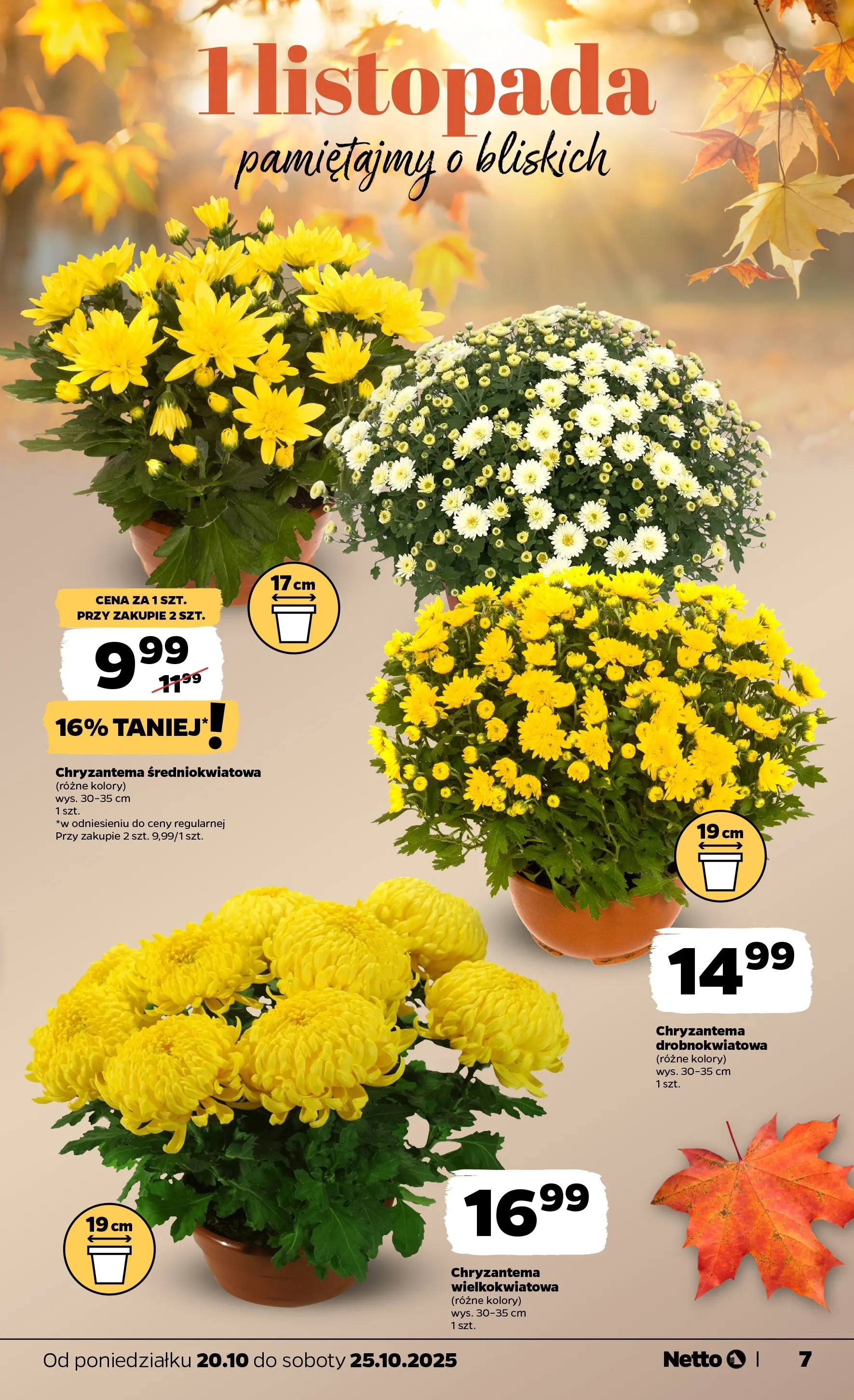 Netto - NETTO T43A ważne do 25.10 od 19.10.2025 - Aktualne promocje | Strona: 7