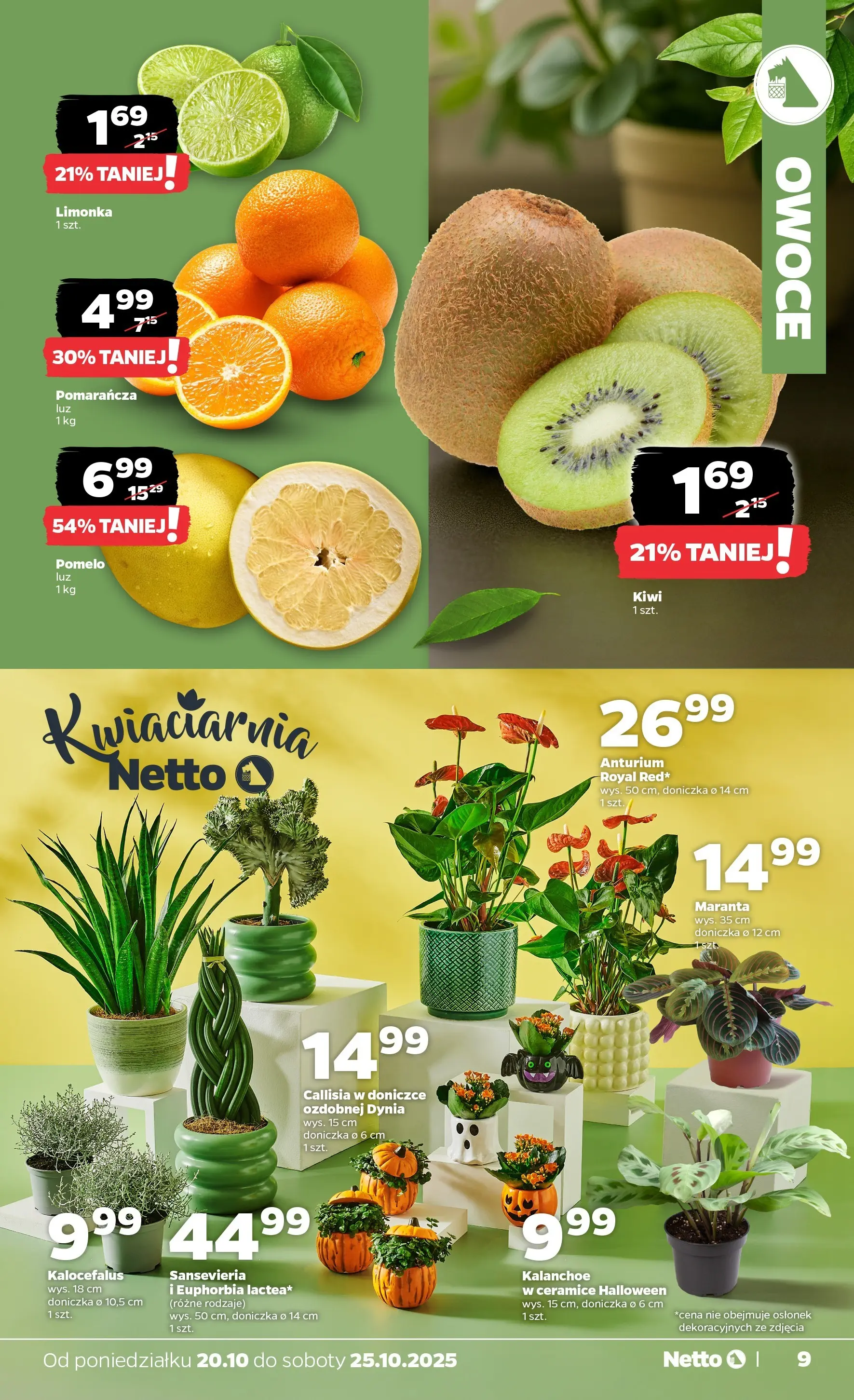 Netto - NETTO T43A ważne do 25.10 od 19.10.2025 - Aktualne promocje | Strona: 9 | Produkty: Dynia, Pomelo, Kalanchoe, Kiwi
