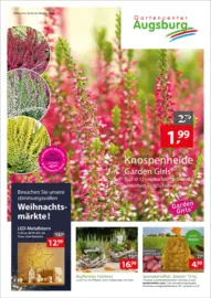 Gartencenter Augsburg: Wochenangebote