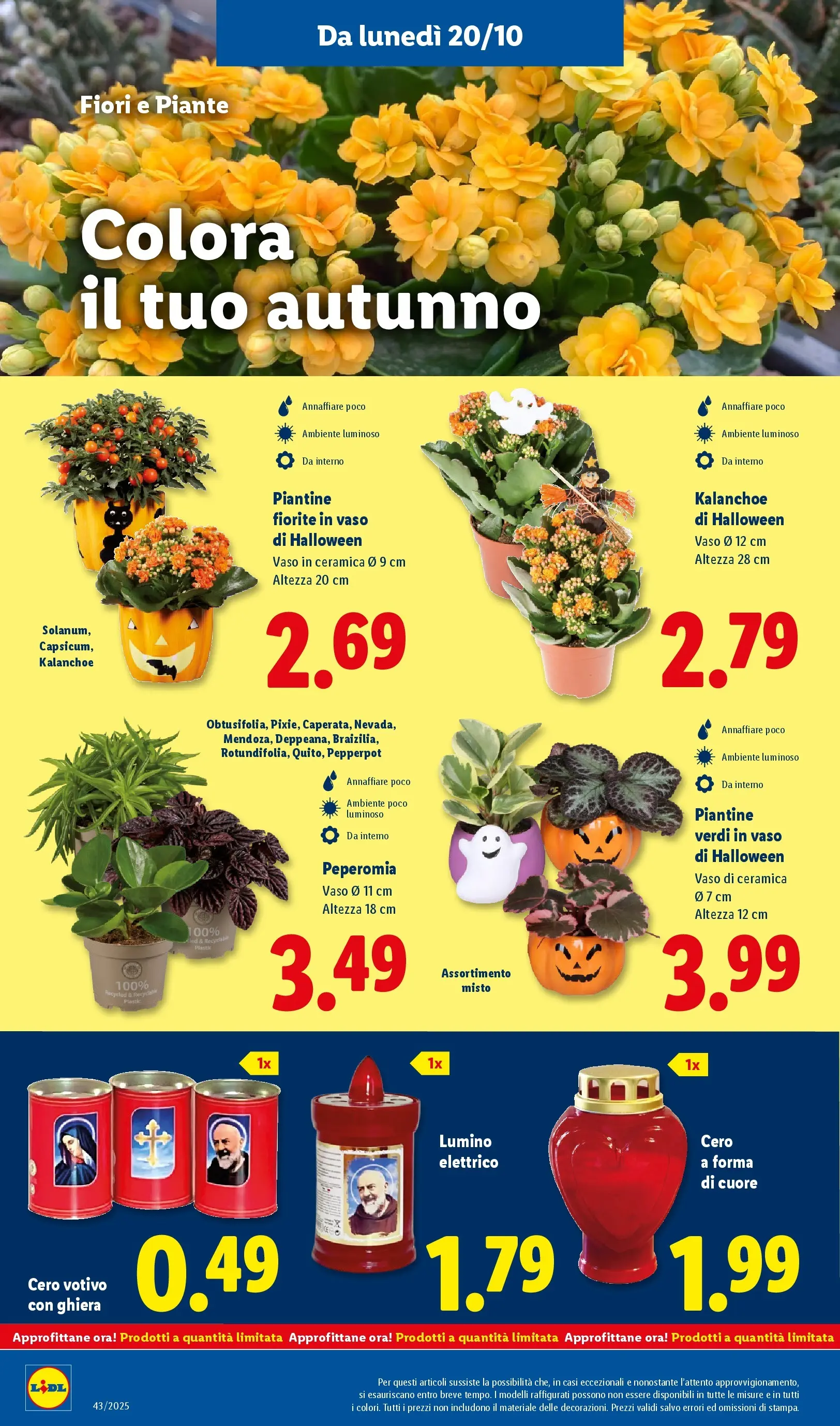 LIDL volantino della prossima settimana dal ﻿16/10/2025﻿ 📣 | Pagina: 40 | Prodotti: Vaso