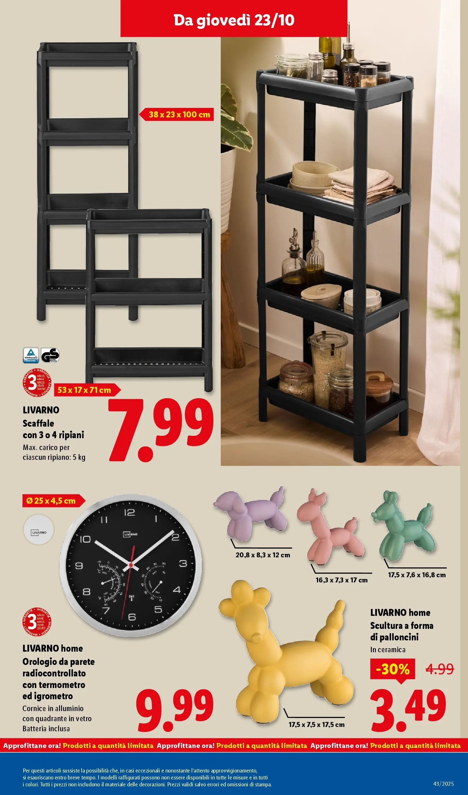 LIDL volantino della prossima settimana dal ﻿16/10/2025﻿ 📣 | Pagina: 49 | Prodotti: Ripiano, Scaffale, Alluminio, Termometro