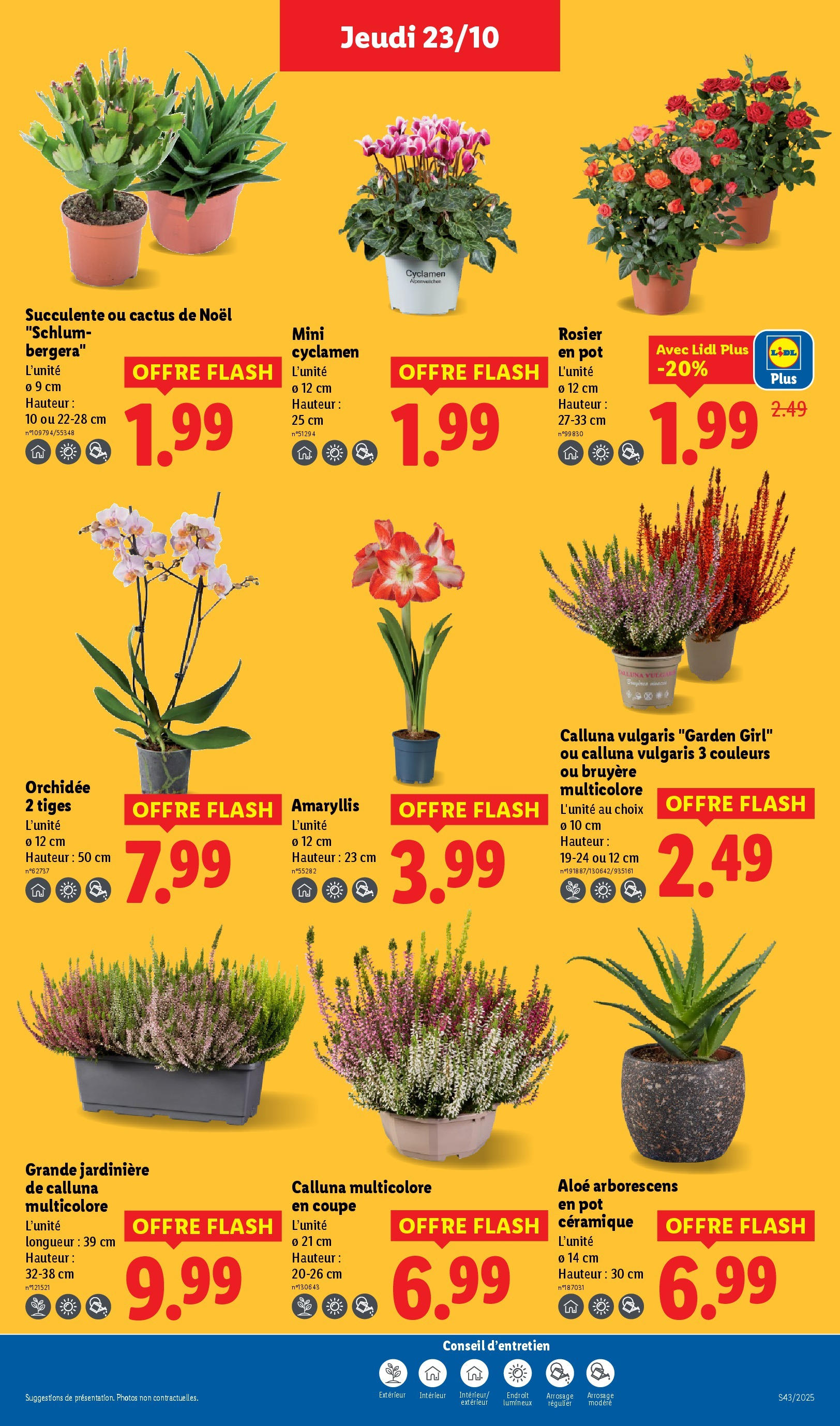 Catalogue LIDL du 19/10/2025 | Promo prospectus en ligne | Page: 27 Catalogue LIDL du 19/10/2025 | Promo prospectus en ligne | Page: 27
