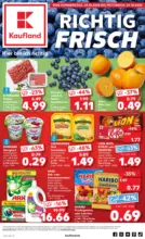 Kaufland Kaufland: Wochenangebote - bis 29.10.2025