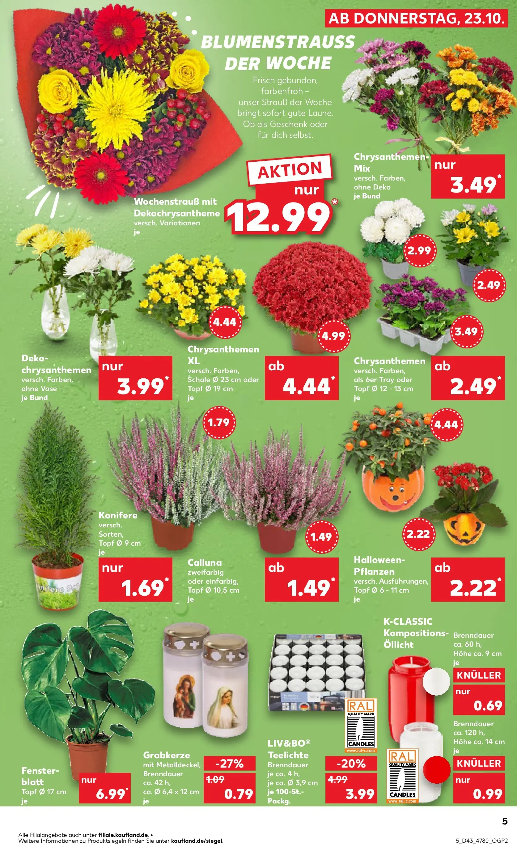 Prospekt Kaufland ab 22.10.2025 » Angebote Online zum Blättern | Seite: 5 | Produkte: Vase