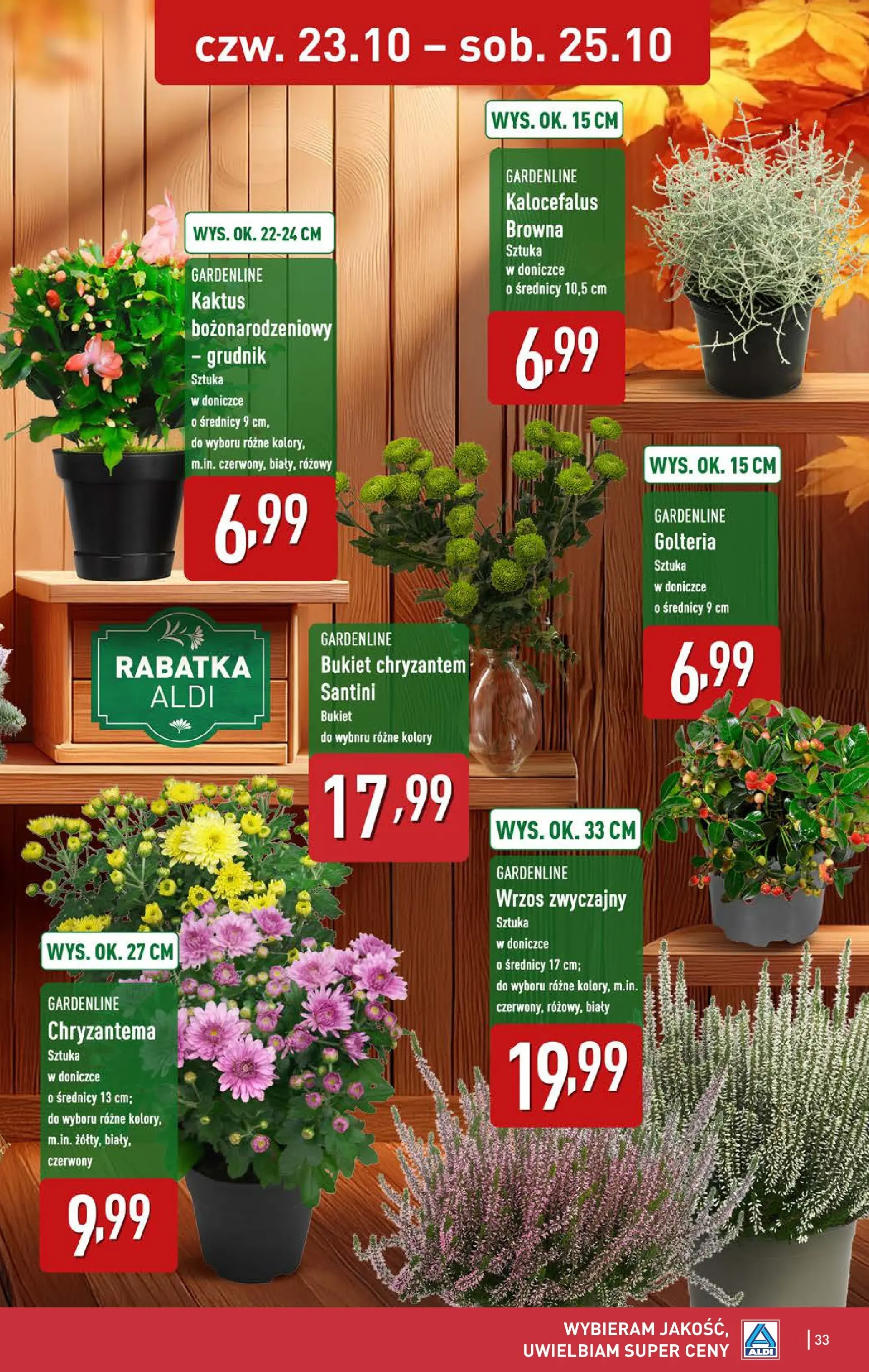 Aldi - Aż do 80% taniej w ALDI od 19.10.2025 - Ulotka PDF, promocje | Strona: 33 | Produkty: Wrzos