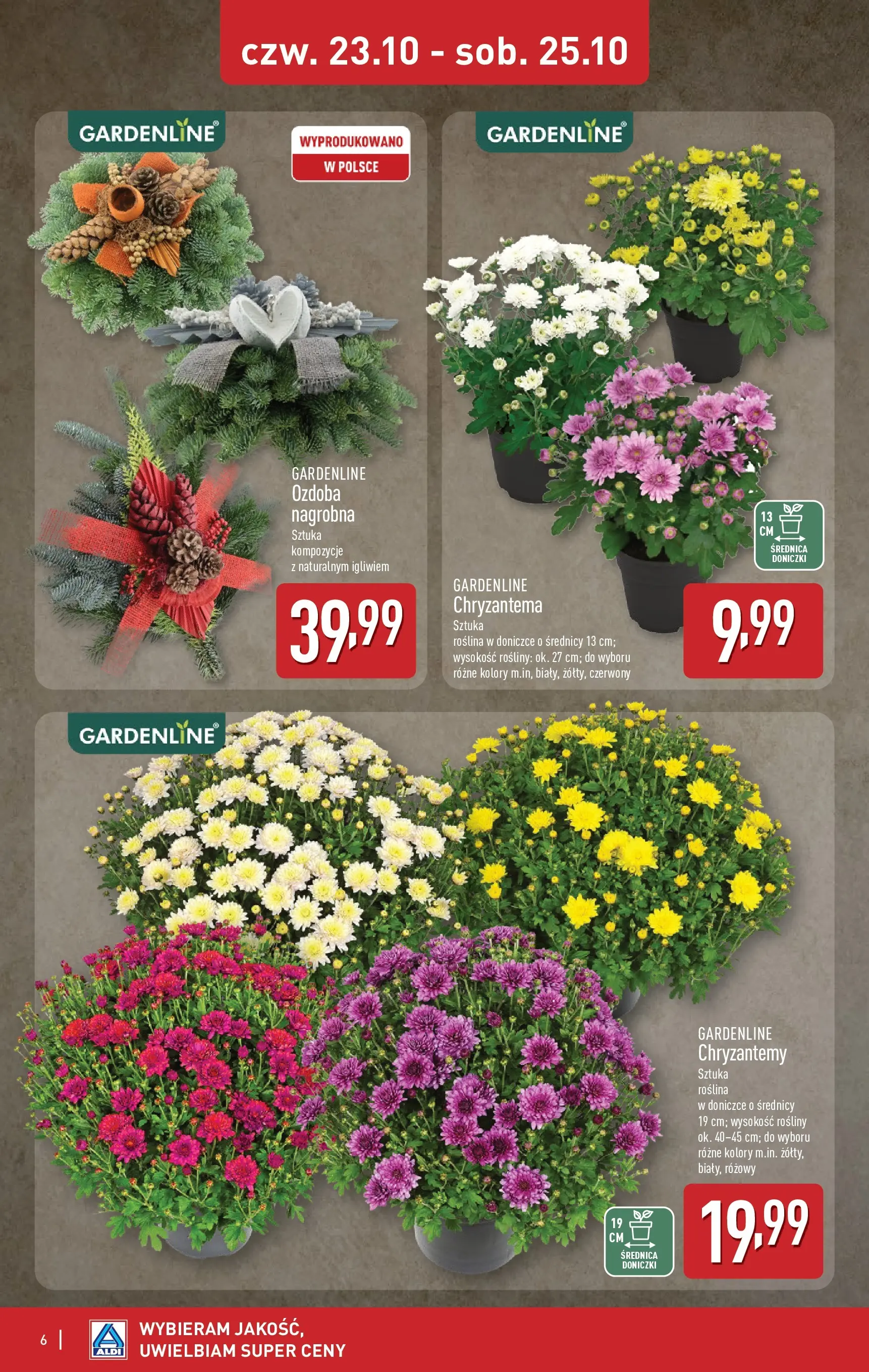 Aldi - Światełko pamięci z ALDI od 19.10.2025 - Ulotka PDF, promocje | Strona: 6 | Produkty: Chryzantemy, Rosliny, Doniczki