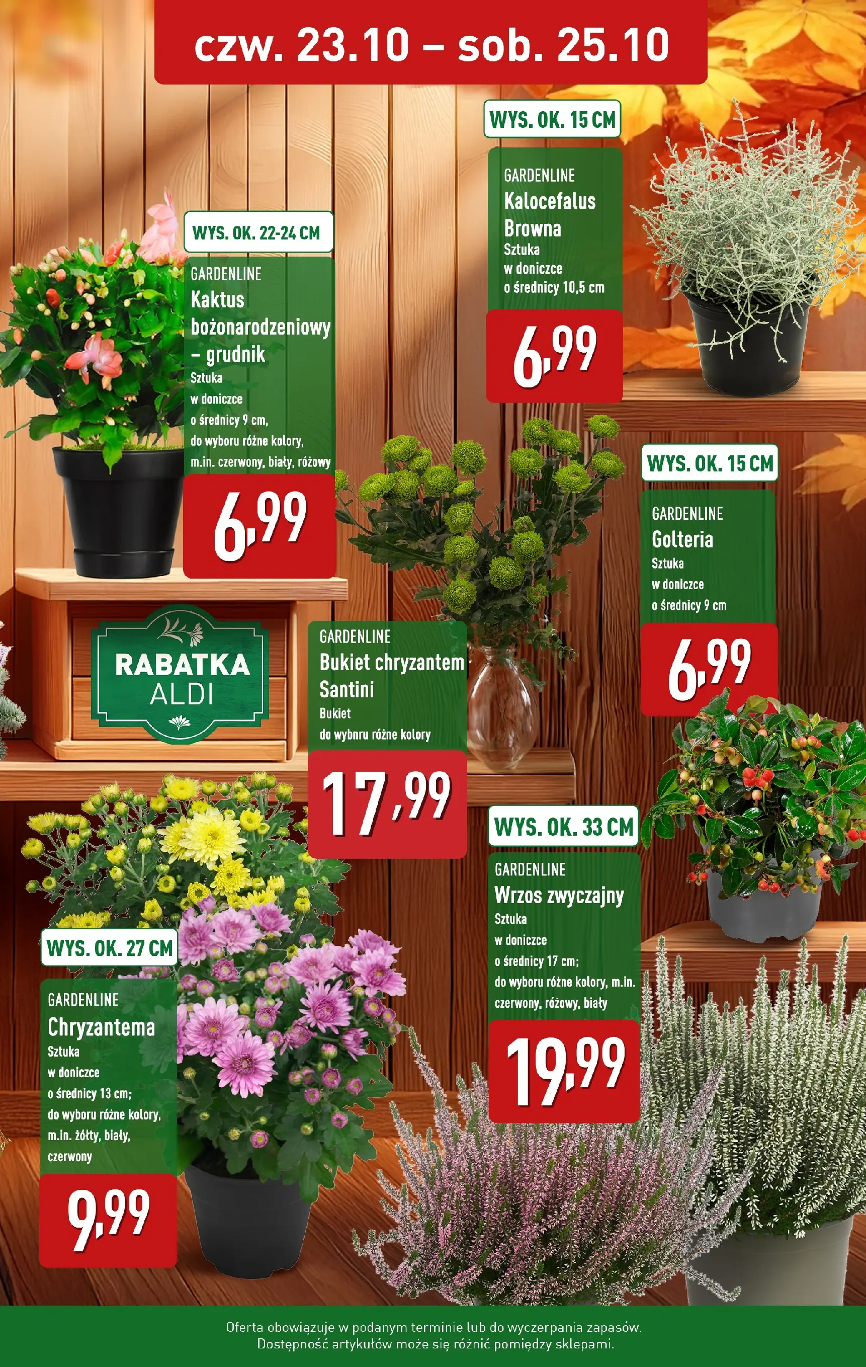 Aldi Gazetka - Piękne kwiaty i ozdoby od 23.10.2025 - Ulotka PDF, promocje | Strona: 2 | Produkty: Wrzos