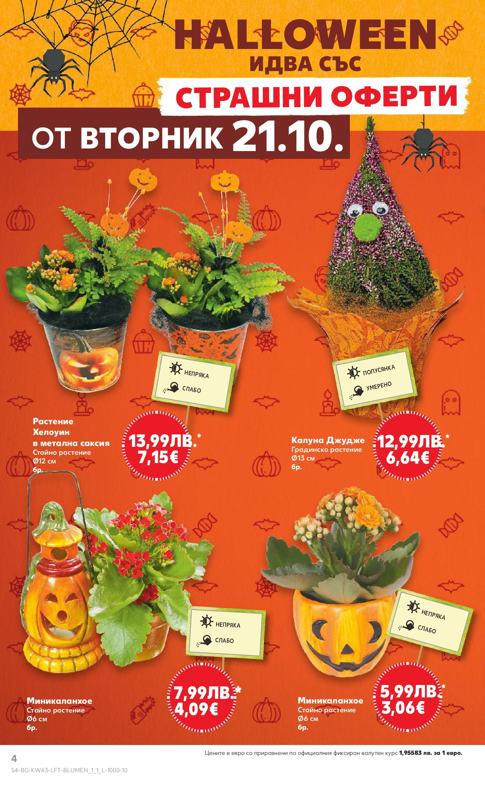 Нова Кауфланд брошура от 19.10.2025 | Страница: 4 | Продукти: Саксия Нова Кауфланд - Роден вкус в Kaufland с валидност до 26.10.2025 от 19.10.2025 | Страница: 4 | Продукти: Саксия