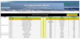 Catalogue Promocash