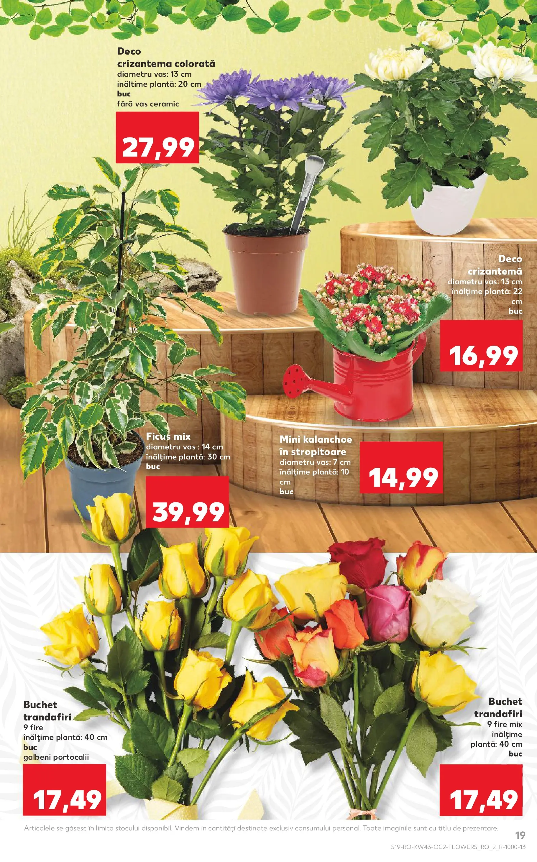 Catalog Kaufland - Pitești 21.10.2025 - Revista si Oferta | Pagină: 19