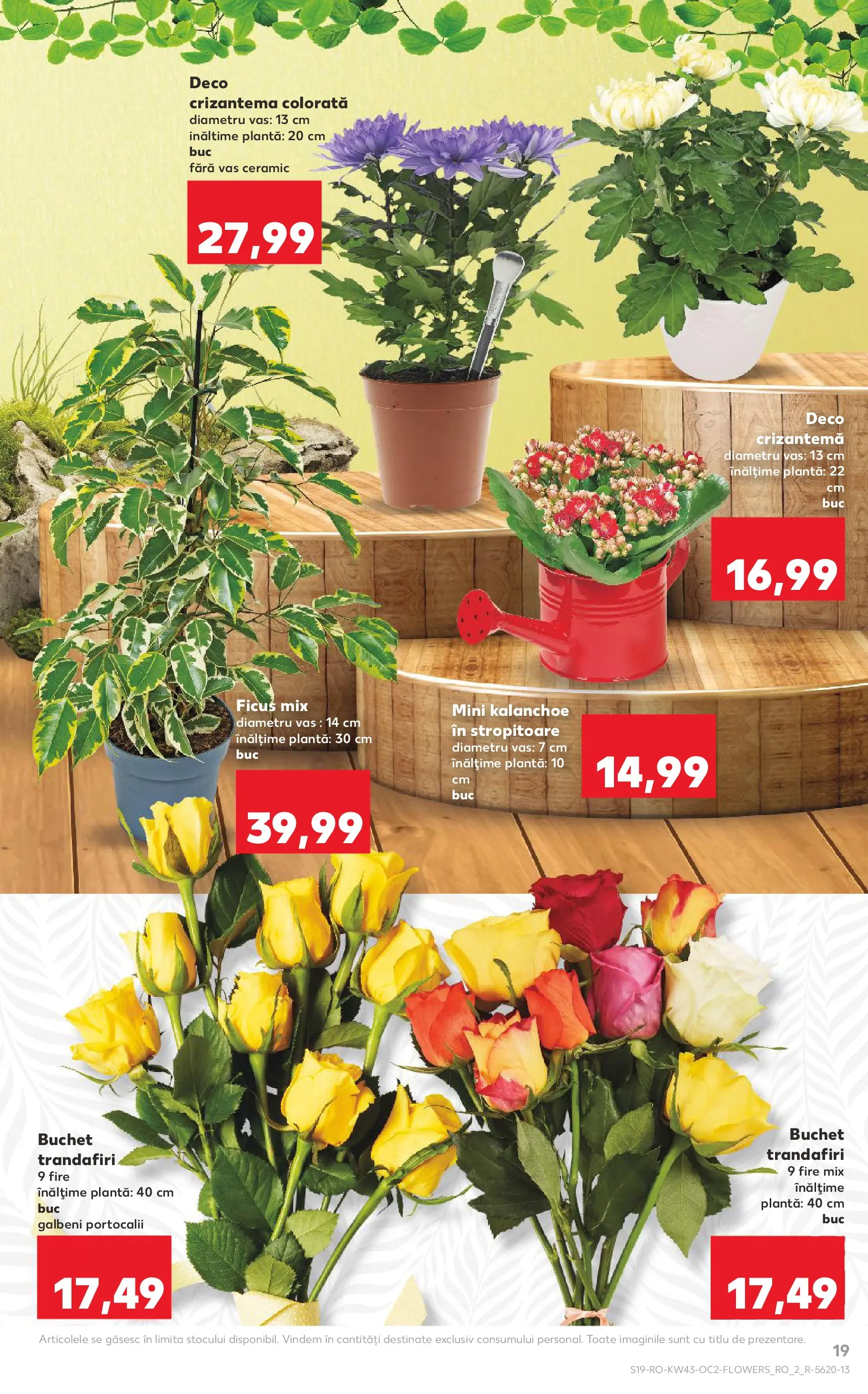 Catalog Kaufland - Viseu de Sus 22.10.2025 - Revista si Oferta | Pagină: 19