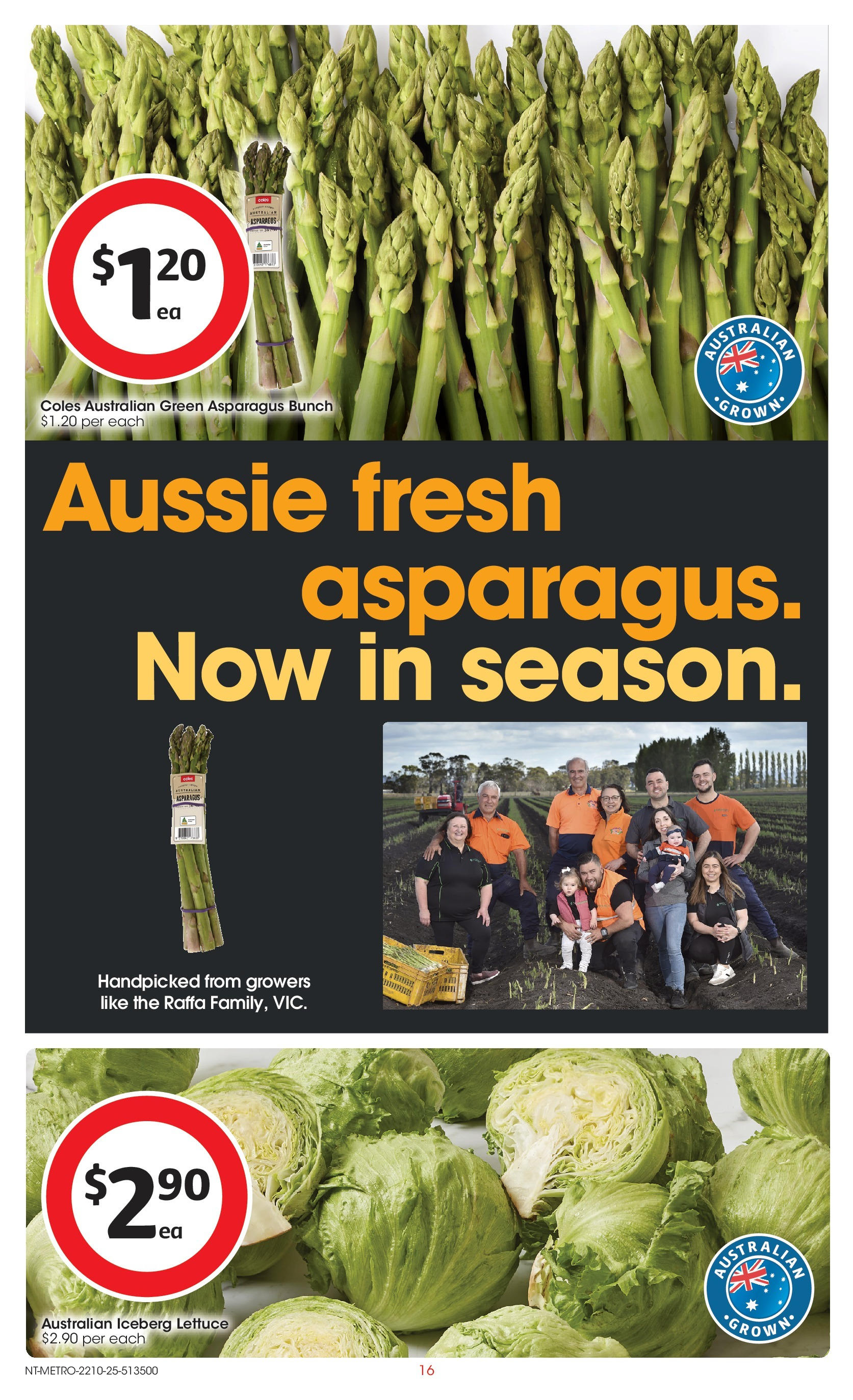﻿﻿Coles catalogue valid from 20/10/2025 > Online Australia | Page: 16 | Products: Lettuce