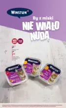 Rossmann gazetka