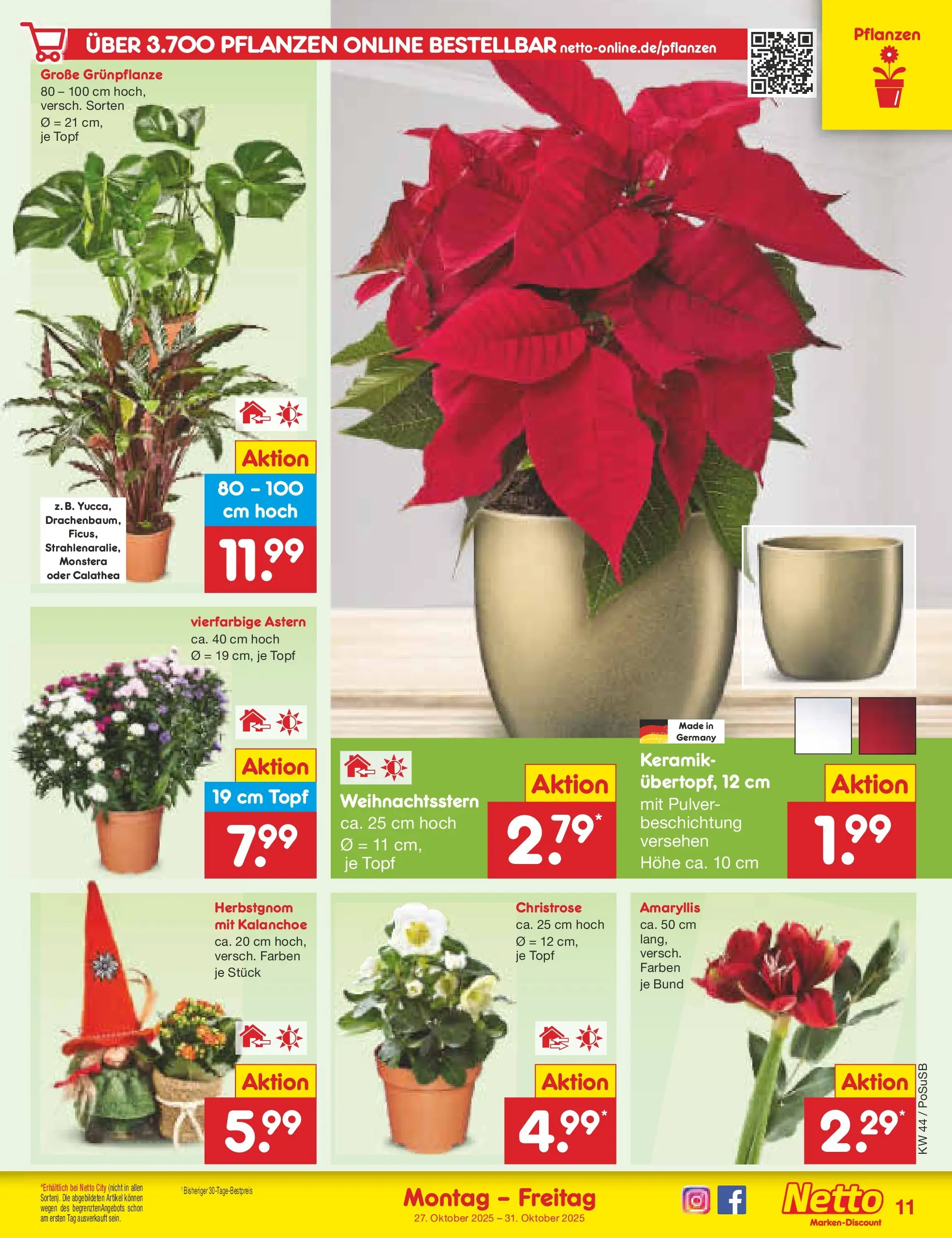 Netto Marken-Discount prospekt Regensburg (ab 26.10.2025) » Angebote | Seite: 13 Netto Marken-Discount prospekt Regensburg (ab 26.10.2025) » Angebote | Seite: 13