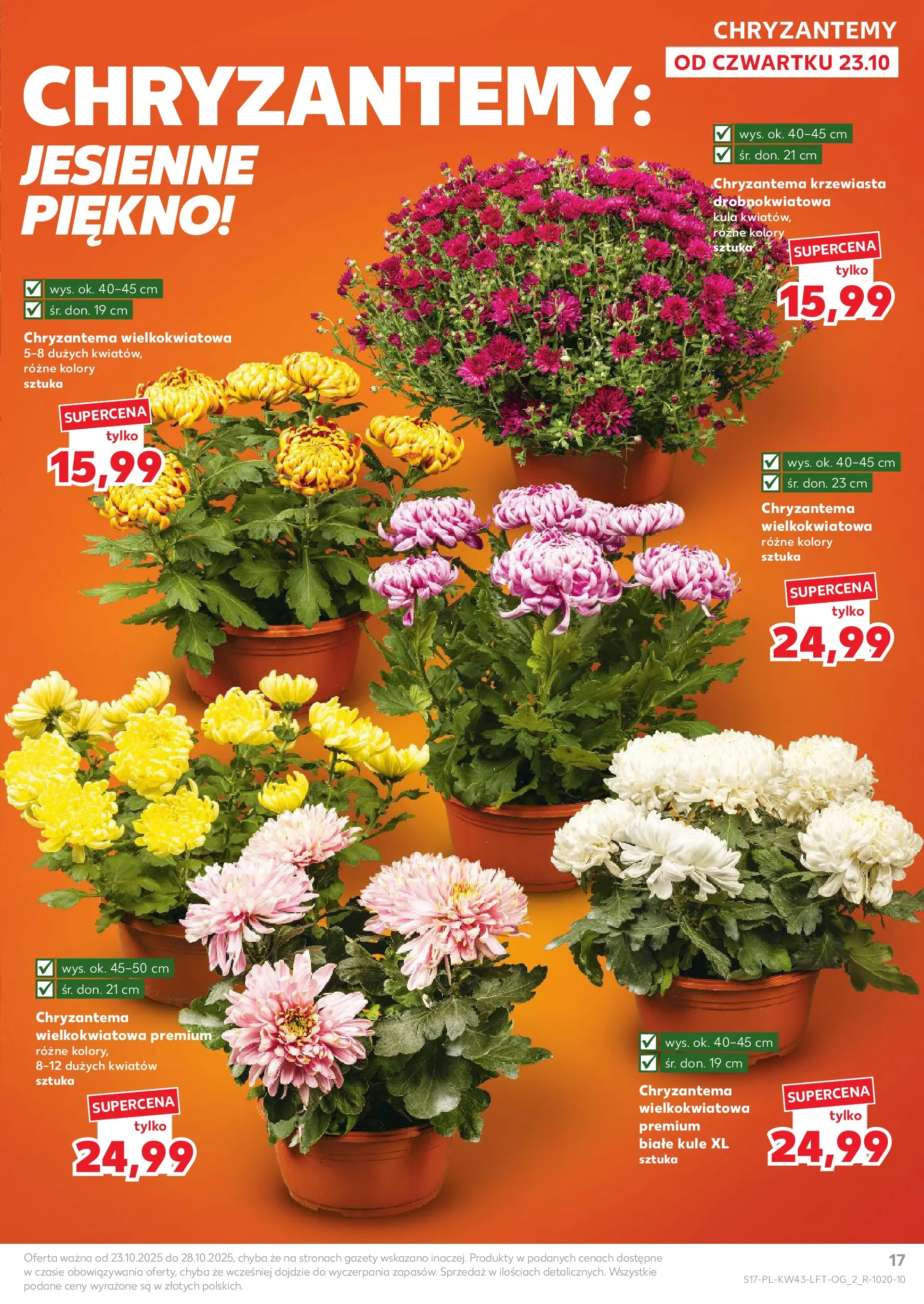 Kaufland gazetka od 23.10.2025 - od jutra PDF | Strona: 17