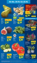 Lidl Lidl: Wochenangebote - bis 25.10.2025