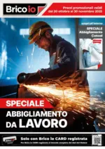 Bricoio Speciale Abbigliamento - al 30.11.2025