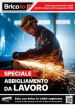 Bricoio Speciale Abbigliamento - al 30.11.2025