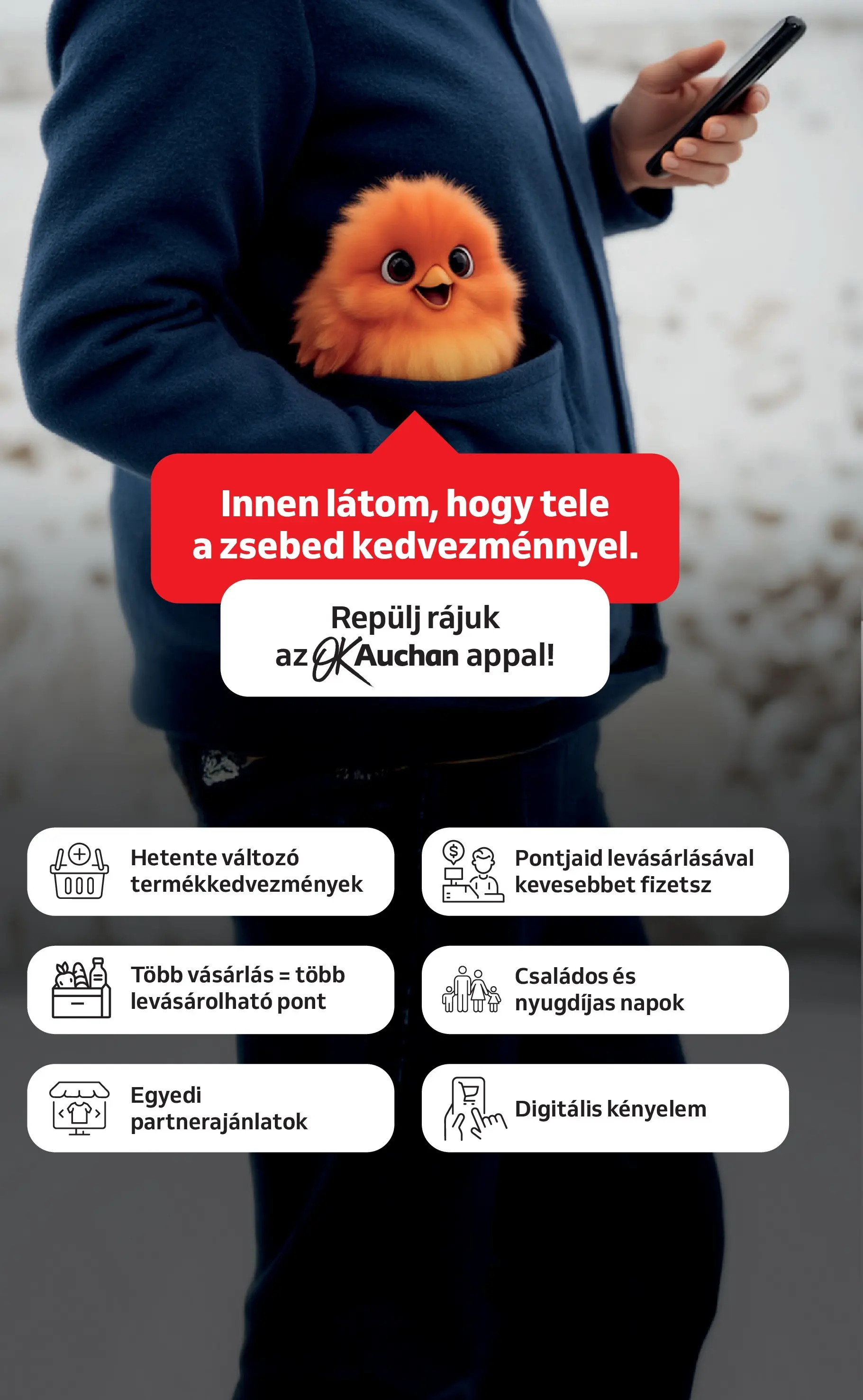 Auchan Akciós újság Miskolc - 2025.10.24. -tól/töl > akció, lapozható szórólap 🛍️ | Oldal: 12